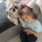 Un copil cu un catel shih-tzu fericit in Sibiu