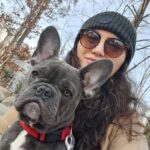 Clienta din Cluj cu catel bulldog francez blue