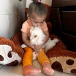 Fetita iubita de un catel din rasa Bichon Maltez Constanta