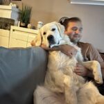 catel Golden Retriever livrat la Oradea