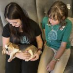Catel rasa Beagle tinut in brate de fetite in Constanta