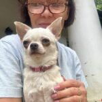 clienta din Resita cu catelul Chihuahua alb primit de la noi