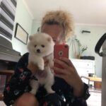 Clienta cu Pomeranian primit la Brasov