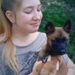 ciobanesc belgian malinois livrat la Resita