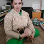 catel Mops primit de o familie din Tulcea