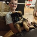 Baietel cu ciobanesc german in brate locatie Targu Mures