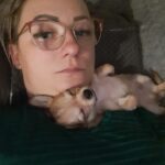 Pui Chihuahua bej, 8 săptămâni, Cluj Napoca