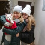 catelus westie livrat in orasul Lugoj