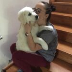 Golden Retriever livrat la o familie frumoasa din Beclean
