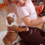 fetita din Sighisoara cu un catelus bulldog englez