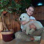 Golden Retriever livrat la Turda