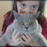 fetita alturi de pisica ei british shorthair