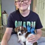 baietel cu un catelus jack russel oras Baia Mare